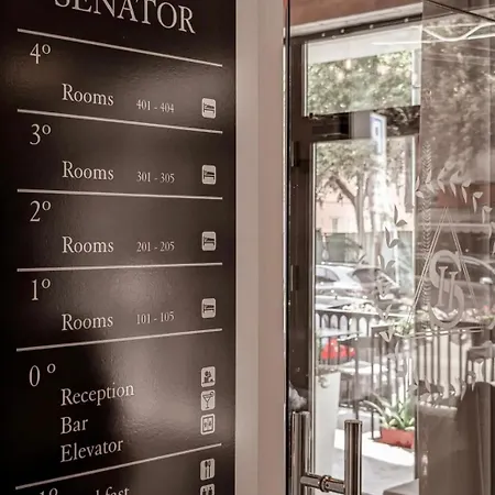 Senator 4*